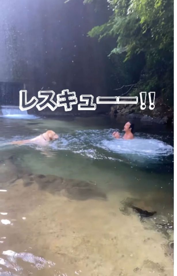 飛び込んだ飼い主さんをレスキュー！▶またもや秒速で救いにいく！（⇒次へ） yagi.famさんのInstagramより