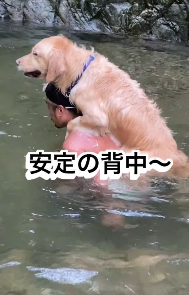 重たい・・・という心の声が聞こえてきそう▶目がとろんとろん（⇒次へ） yagi.famさんのInstagramより