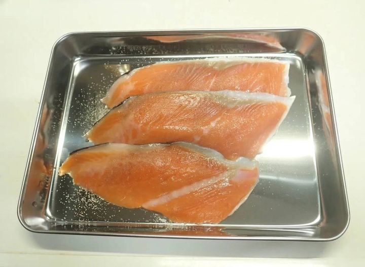 DAISO(ダイソー)：ステンレストレー深型 約21.5×16cm