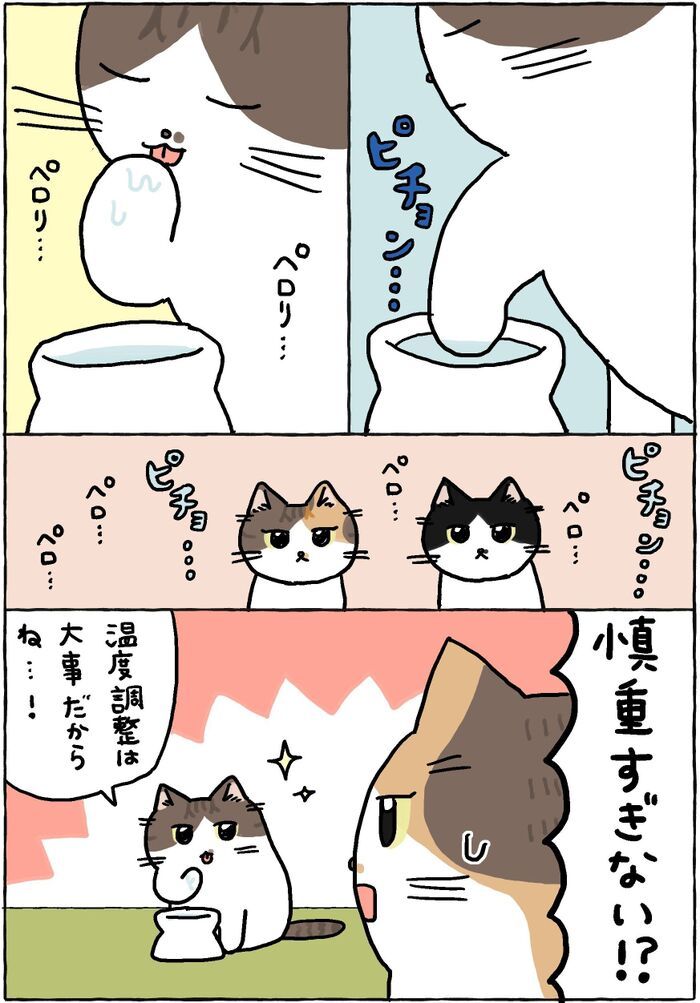 まーくんは慎重派。【てらねこミー子の日常】