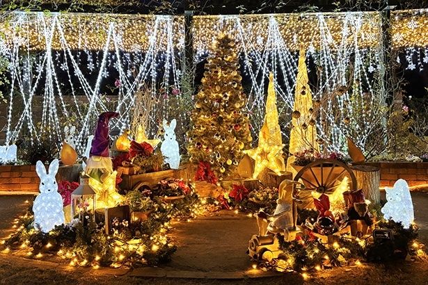 2024年のイルミネーション