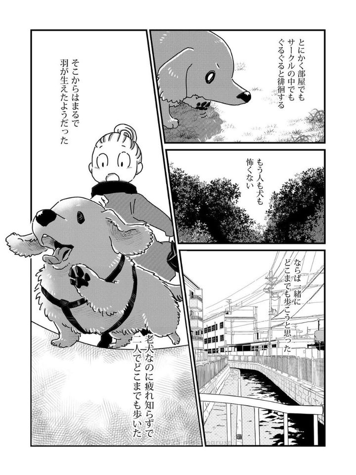 漫画「ワタシの人生にとうとう犬がいなくなってしまった」のカット（真希ナルセさん提供）