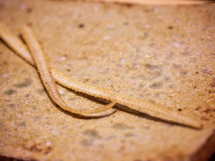 新橋『久兵衛 本店』の「骨せんべい」