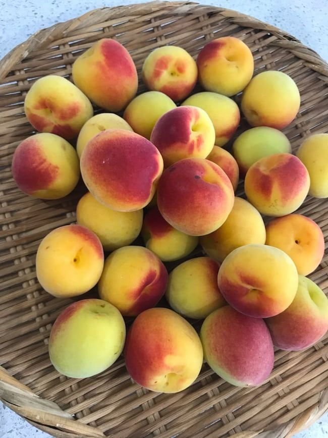 母の認知症介護日記／ワフウフ