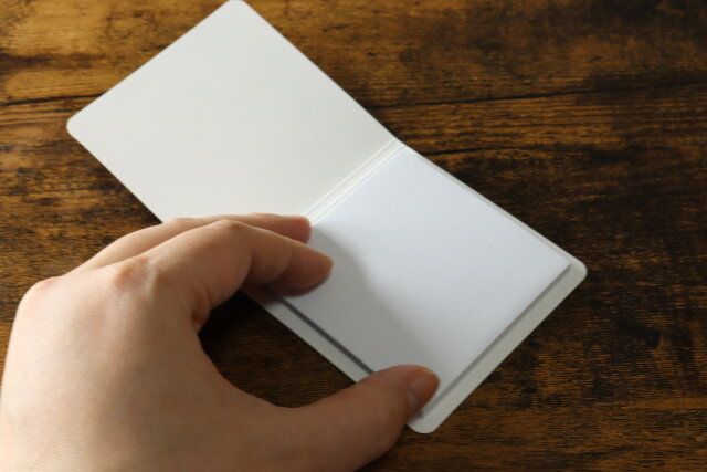 持ち運べる毛取りクリーナー セリア 冊子状