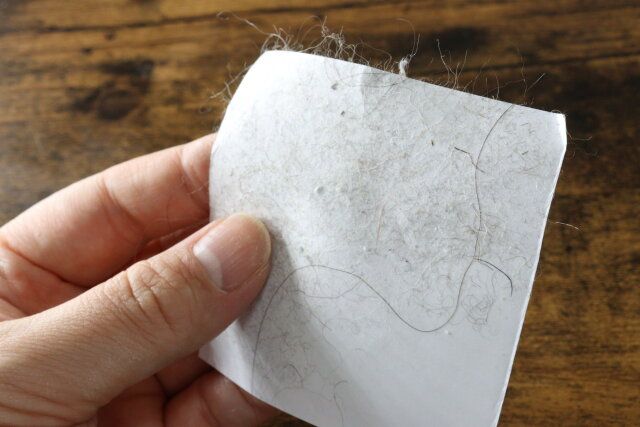 持ち運べる毛取りクリーナー セリア レビュー