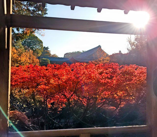 臥雲橋から通天橋を望む
