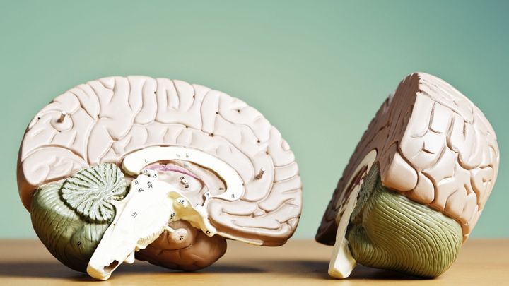 なぜ私たちは意味のない繰り返しにハマってしまうのか？