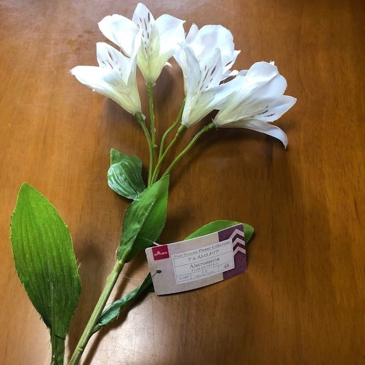 アルストロメリア