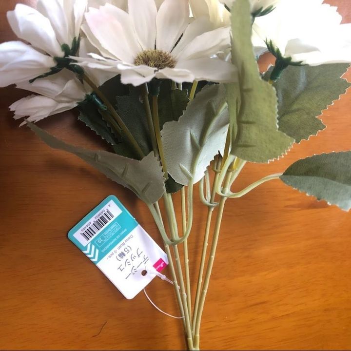 デージーブッシュ