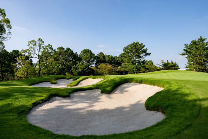 美しさは挑戦の中にある。デイビッド・M・デイルが描く新しいゴルフの風景