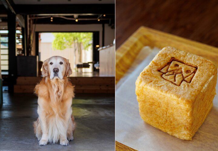 城下町の面影を残す滋賀・近江八幡で1dayさんぽ～レトロ＆琵琶湖ビューを満喫～