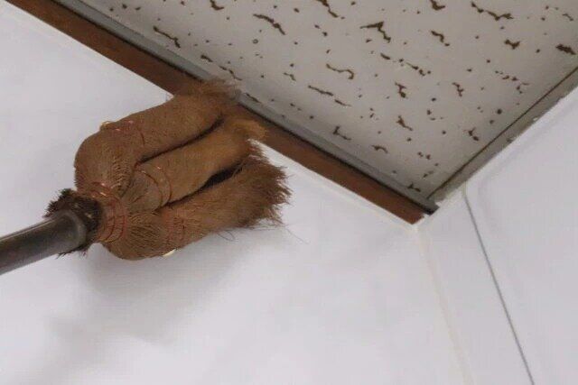 ダイソー 棕櫚ほうき