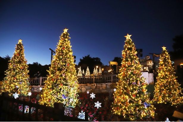 きらびやかな光をまとった新ツリーがずらり！雪の結晶をイメージした装飾も美しい
