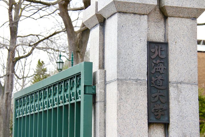 北大後期入試と嵐ツアーが関係！？／画像：北海道大学正門