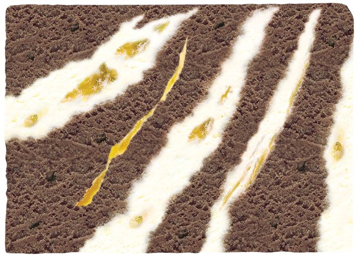 - ゴディバ監修 - マリアージュ デュ ショコラ アイスクリームケーキ 断面