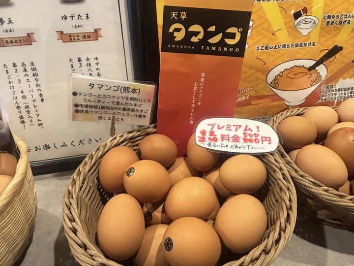 「天草タマンゴ」※「基本セット」の卵2個で選ぶ場合は追加料金+500円、3個目以降として追加する場合は+800円