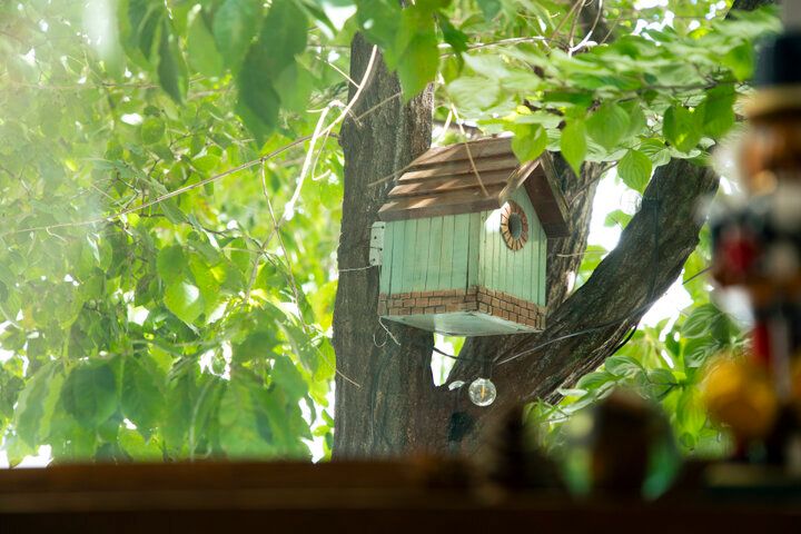 くるみを使った絶品スイーツがいっぱい♪ほっこり時間が過ごせる一軒家カフェ／西国分寺「クルミドコーヒー」