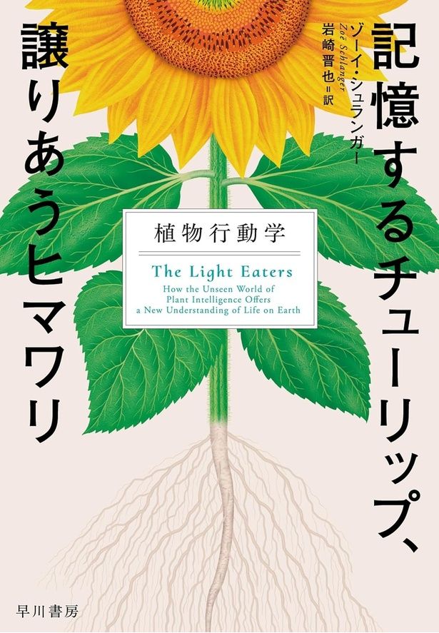 『記憶するチューリップ、譲りあうヒマワリ 植物行動学』 （ゾーイ・シュランガー：著 岩崎晋也：訳/早川書房）3410円（税込）