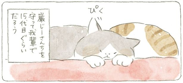 巌じーさんちを守って我輩で15代目ぐらいだろう （C）ねこまき（ミューズワーク）／KADOKAWA