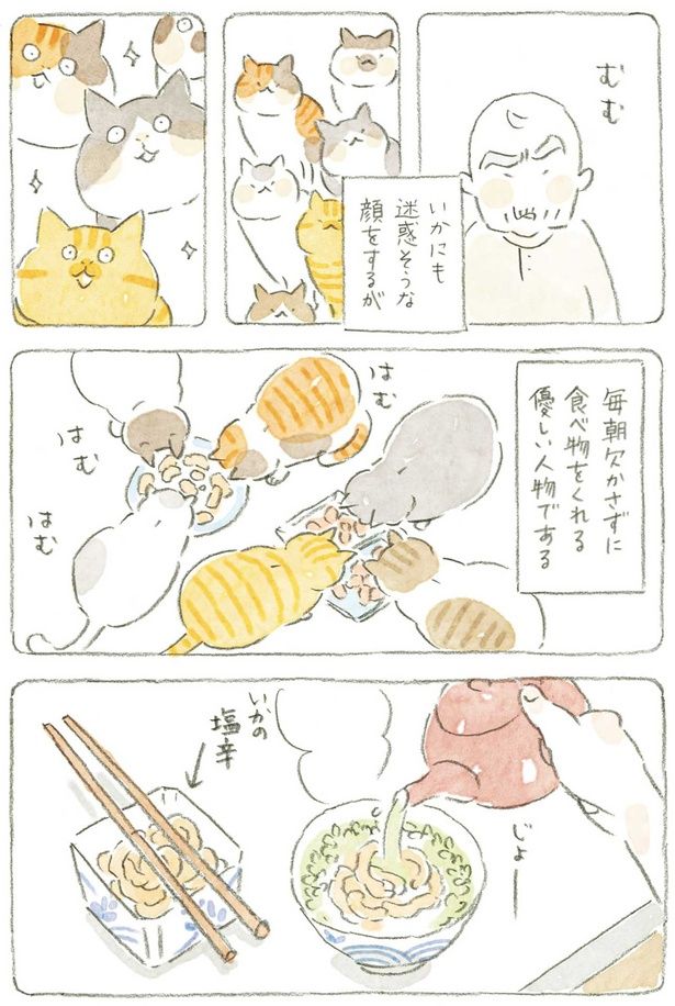 毎朝欠かさず （C）ねこまき（ミューズワーク）／KADOKAWA