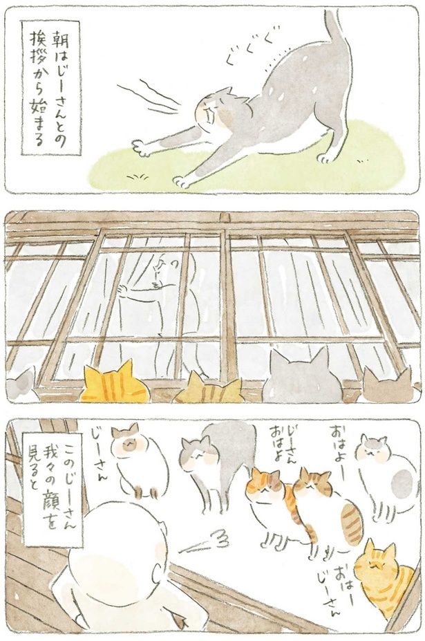 じーさんとの挨拶から始まる （C）ねこまき（ミューズワーク）／KADOKAWA