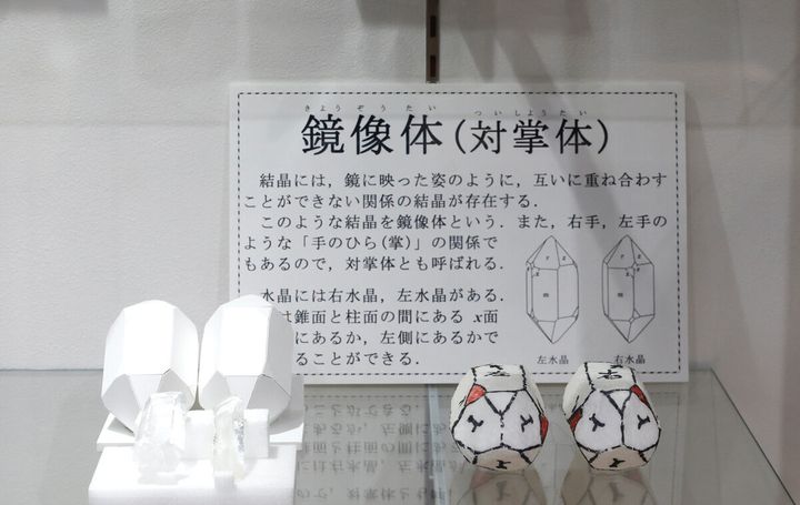 鏡像体の模型