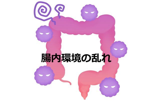 乱れた腸内環境のイメージ図