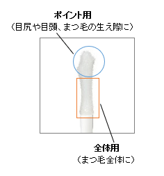 まつ毛セラムII 説明
