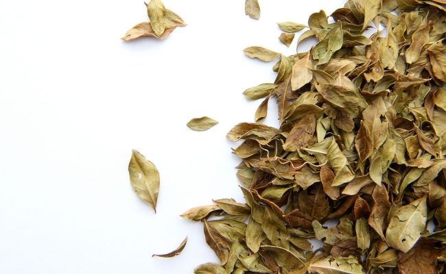 ヘナのイメージ