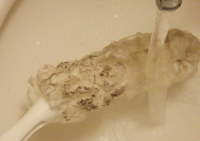 網戸クリーナー 手入れ