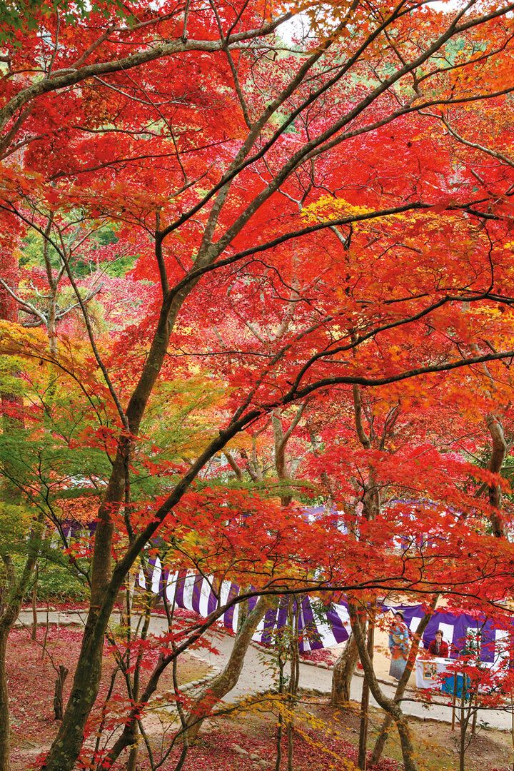 新しくなった「ことりっぷ神戸」と一緒におでかけしたい注目スポット9選【スタンプラリー開催中】