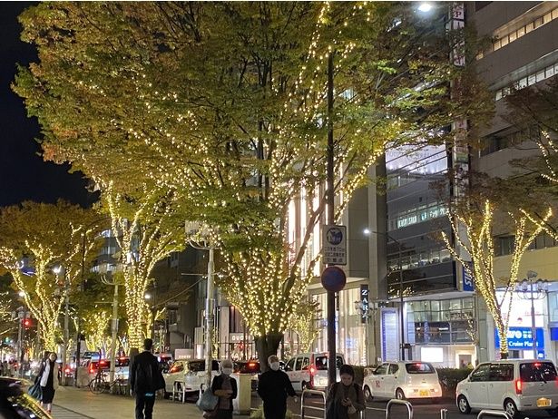 栄ミナミと大須の街並みが約30万球の電球で彩られる「栄ミナミ・大須ウインターイルミネーション」 画像提供：南大津通活性化協議会