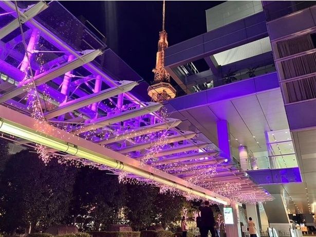 ブロッサが位置する東桜の「桜」をもとにした、ピンクをキーカラーとしたクリスマスツリーとイルミネーションが特徴の「ブロッサ ウインターイルミネーション2025」 画像提供：NTTアーバンバリューサポート