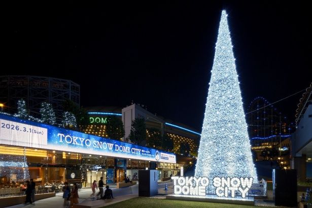 「スノードーム」や「雪」をテーマに、華やかな白い光に包まれたイルミネーション「TOKYO SNOW DOME CITY」