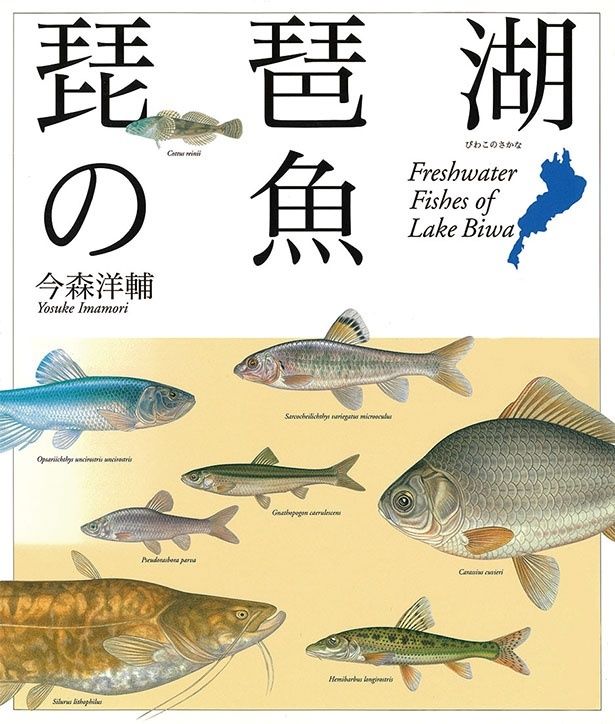 『琵琶湖の魚』 （今森洋輔/偕成社）2420円（税込）