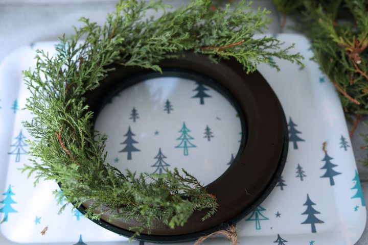 ヒムロスギをオアシスリングに挿す