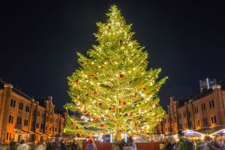 イルミネーションで輝くクリスマスツリー