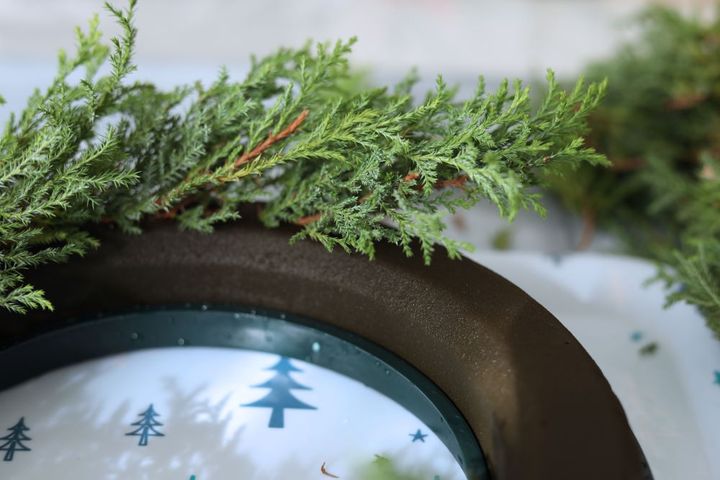 ヒムロスギをオアシスリングに挿す