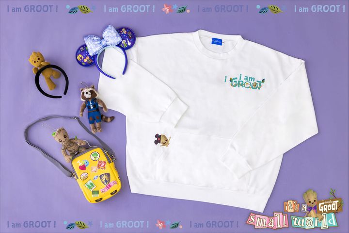 東京ディズニーランド「イッツ・ア・スモールワールド with グルート」グッズ・お土産5