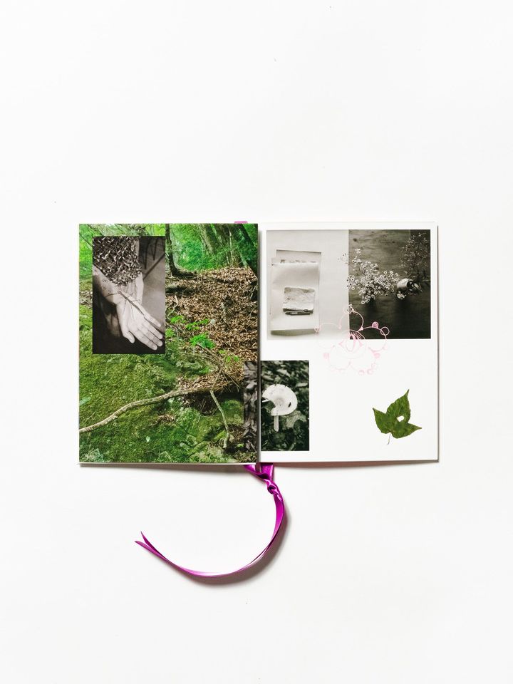 ZINE（作品集）の中には、制作のインスピレーション源となった自然風景も。