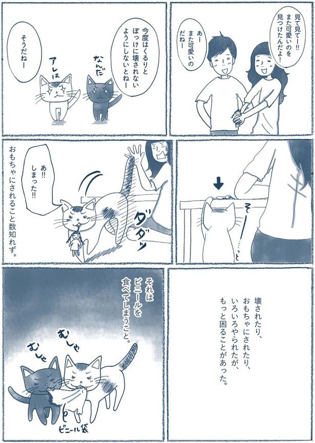 ビニールを食べてしまうこと （C）ゆるりまい／KADOKAWA