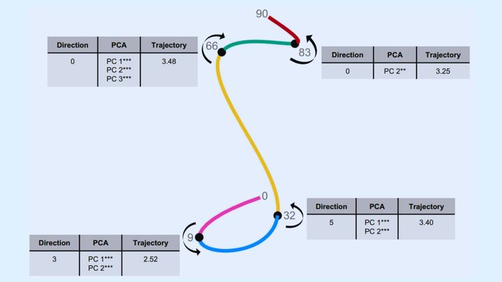 「9歳、32歳、66歳、83歳」──脳が静かに線路を切り替える年齢