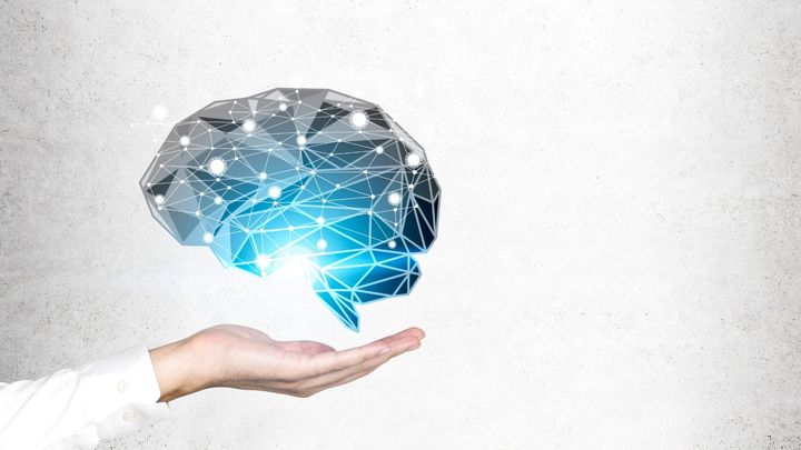 脳には5つの時代がある？ 子ども・思春期・大人・前期老化・後期老化