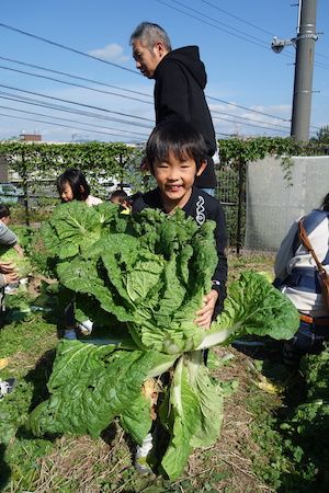 【島根県松江市】島根県立大学短期大学部がキャンパス内の「こっそり畑」で親子体験イベントを開催