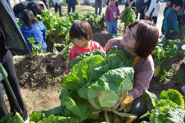 【島根県松江市】島根県立大学短期大学部がキャンパス内の「こっそり畑」で親子体験イベントを開催
