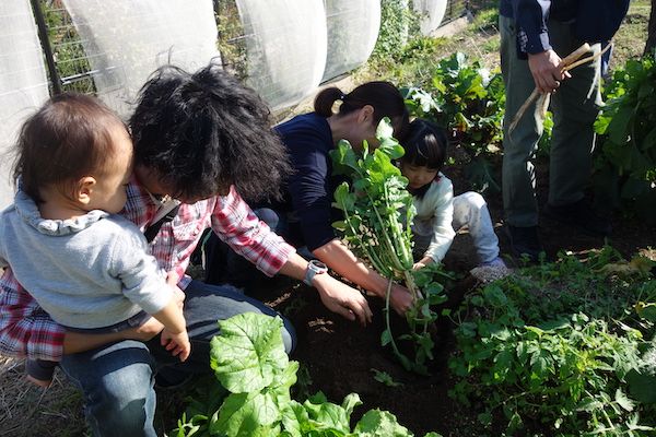 【島根県松江市】島根県立大学短期大学部がキャンパス内の「こっそり畑」で親子体験イベントを開催