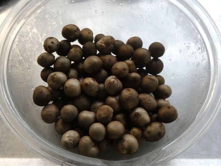 材料4つ！「むかごののり塩炒め」