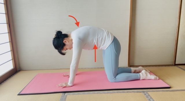 背中をほぐすピラティス