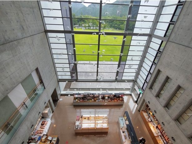 美しい芝生で遊ぶこともできる